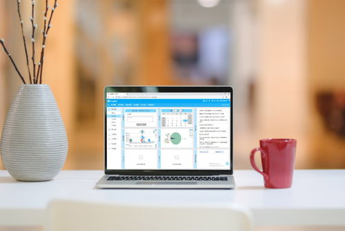 erp企業(yè)管理軟件 進銷存管理