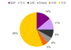 2017年h1中國企業(yè)級應用軟件廠商銷售收入占比 圖